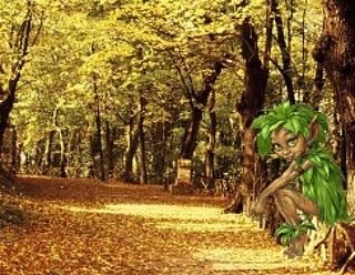 La locandina di Puliamo il Bosco 2018